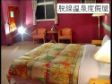 【台東脫線牧場溫泉度假屋】
脫線牧場(台東國際雞場)
脫線 ...